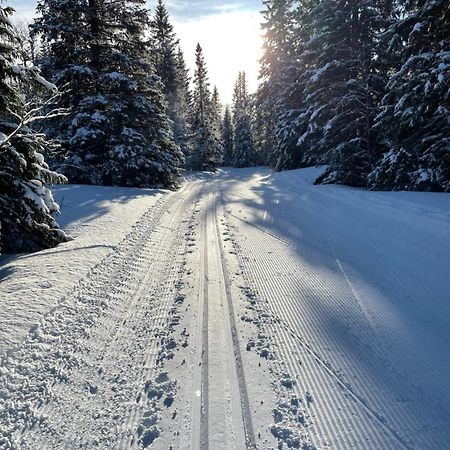 Areskutans Laegenhet Med Laddning Foer Bil 22Kw Daire Husa Dış mekan fotoğraf