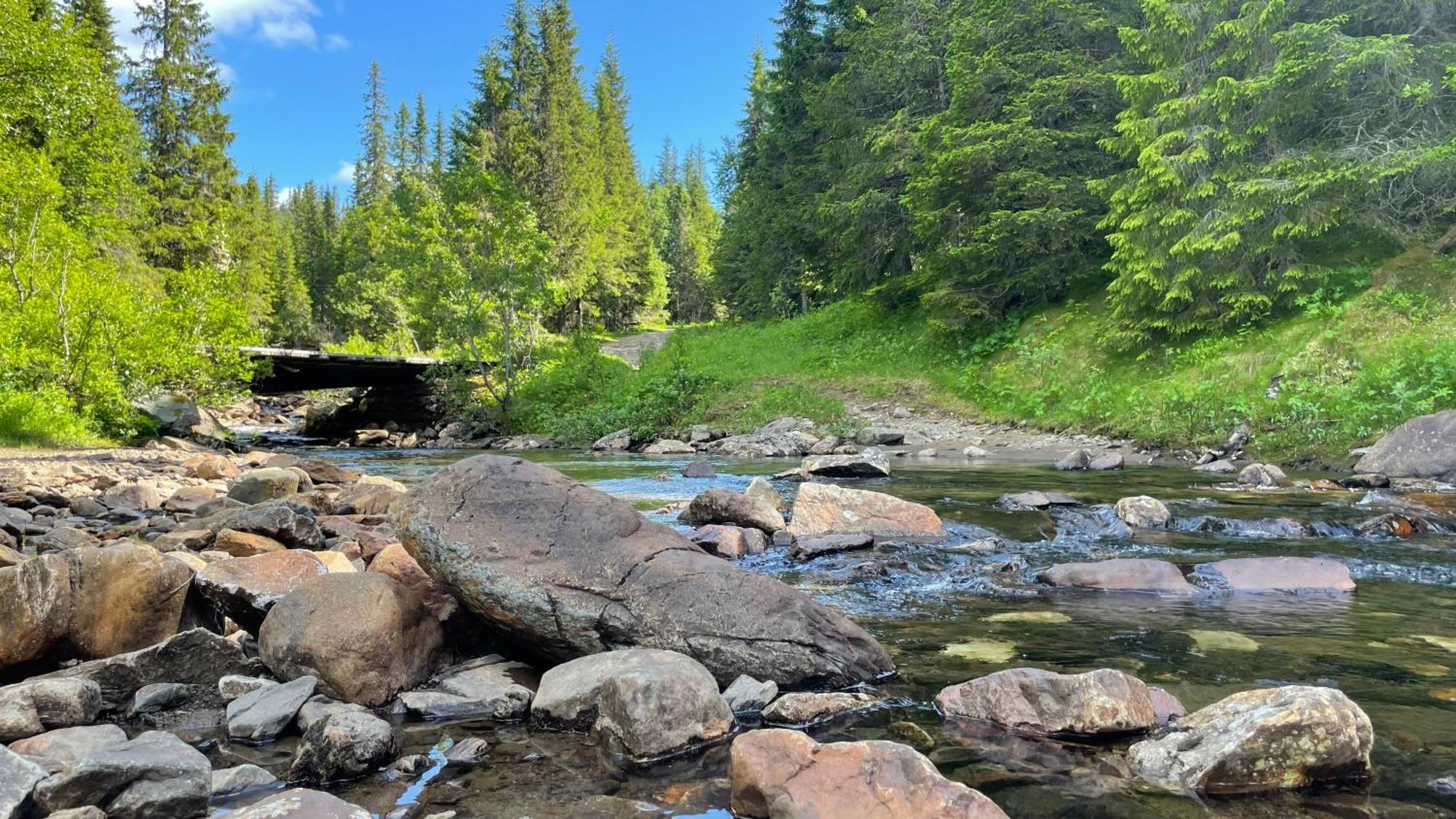 Areskutans Laegenhet Med Laddning Foer Bil 22Kw Daire Husa Dış mekan fotoğraf