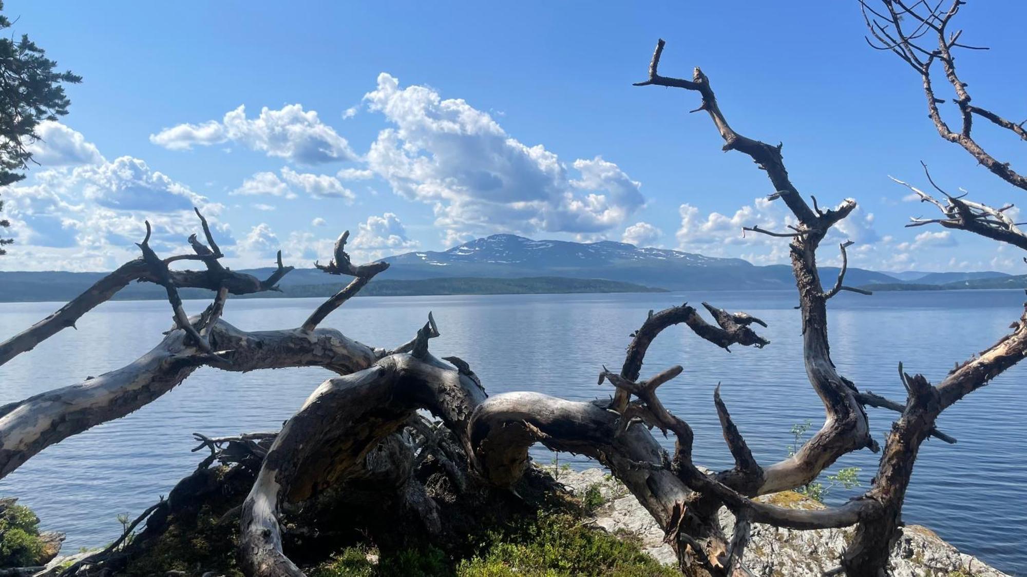 Areskutans Laegenhet Med Laddning Foer Bil 22Kw Daire Husa Dış mekan fotoğraf